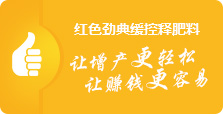 深夜在线视频免费成人深夜视频料