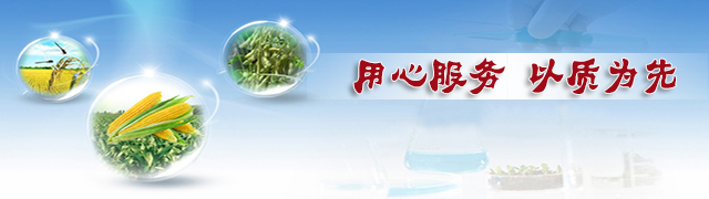 深夜在线视频緩釋肥廠家用心服務·以質為先