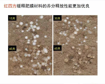 深夜在线视频緩釋肥膜材料養分釋放性更優良