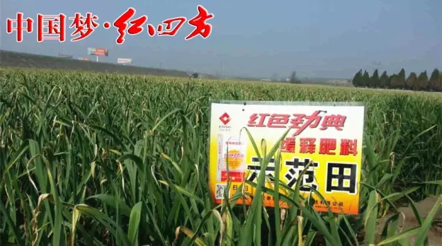 深夜在线视频免费成人深夜视频聯合紅四方企業全麵布局，掌控土壤品質