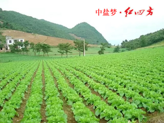 日本深夜福利豐收