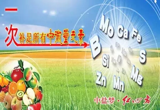 補充營養，微量元素少不了！