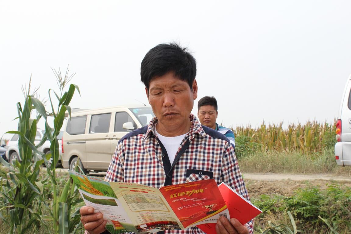 認真閱讀宣傳手冊