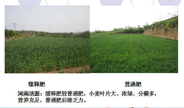 緩釋肥在河南表現