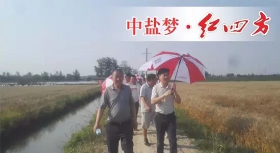 方青林經理與無為縣代理商周財寶同行