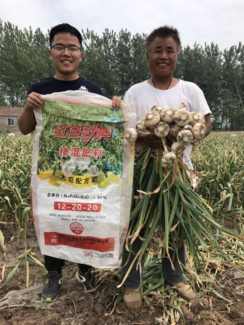 大蒜緩釋肥