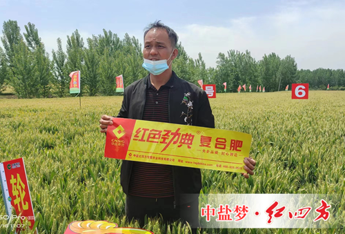 施用深夜在线视频複合肥 豐收故事說不停