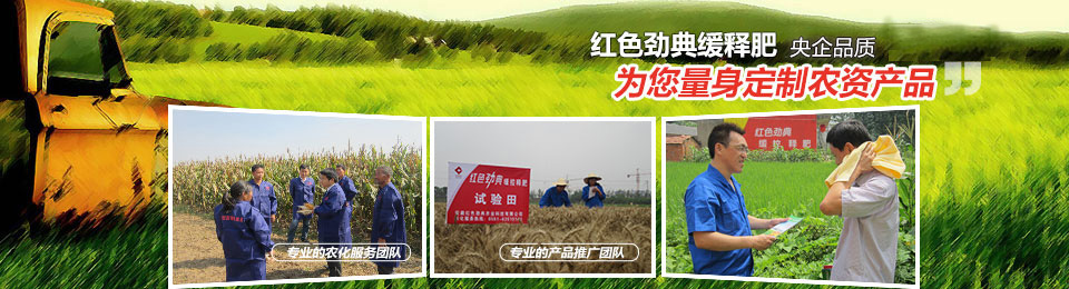 深夜在线视频，冠軍品質，五星服務