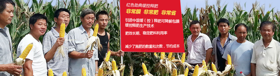 深夜在线视频緩釋肥，國際領先技術